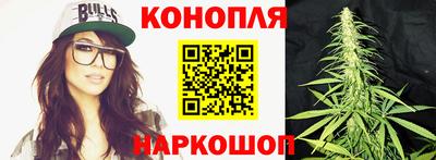 шишки Конаково
