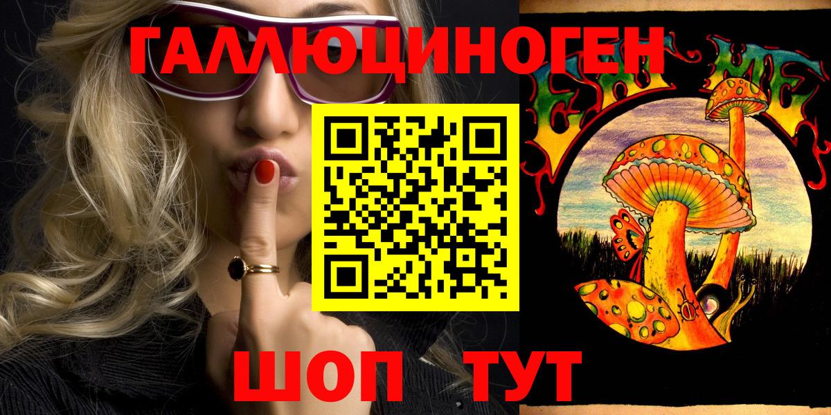 Псилоцибиновые грибы GOLDEN TEACHER Кинель