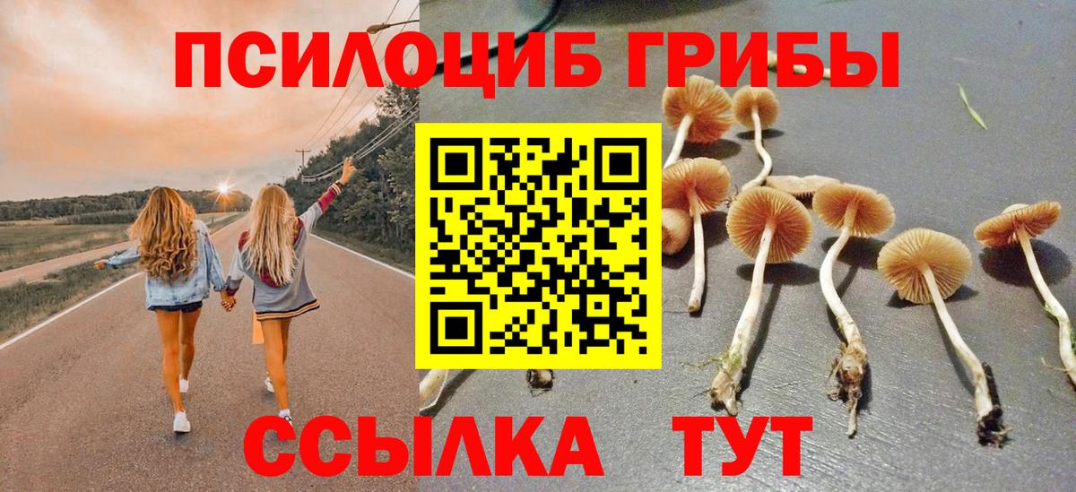 Кинель  Галлюциногенные грибы мицелий  Галлюциногенные грибы Magic Shrooms  Вход с VPN 